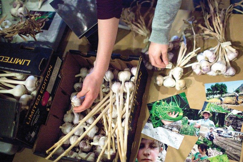 Ogden Seed Exchange’s annual swap returns to Ogden this weekend News